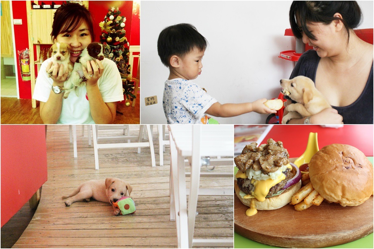 Alice時常帶著中途的米克斯幼犬來到經營的餐廳澳滋客棧，宥宥也會幫媽媽照顧小狗(照片中雷霆吃的是澳滋客棧手工製作的漢堡皮哦！)　李娉婷/攝、(左上)取自OZ HOTEL 澳滋客棧