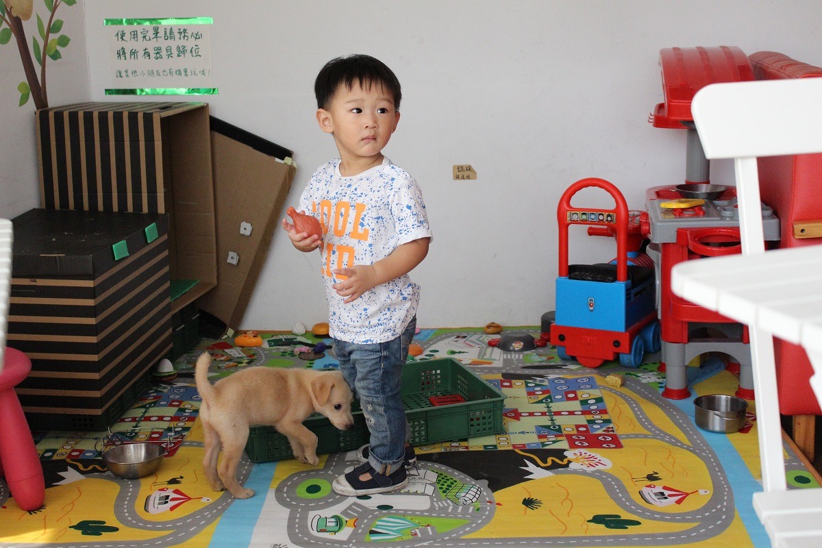 澳滋客棧中有小朋友的遊樂區，放著許多小玩具，而Alice中途的幼犬若是來到店裡，則是可以自由行動，有時可以看到小狗和小朋友一起玩樂的溫馨畫面。　李娉婷/攝