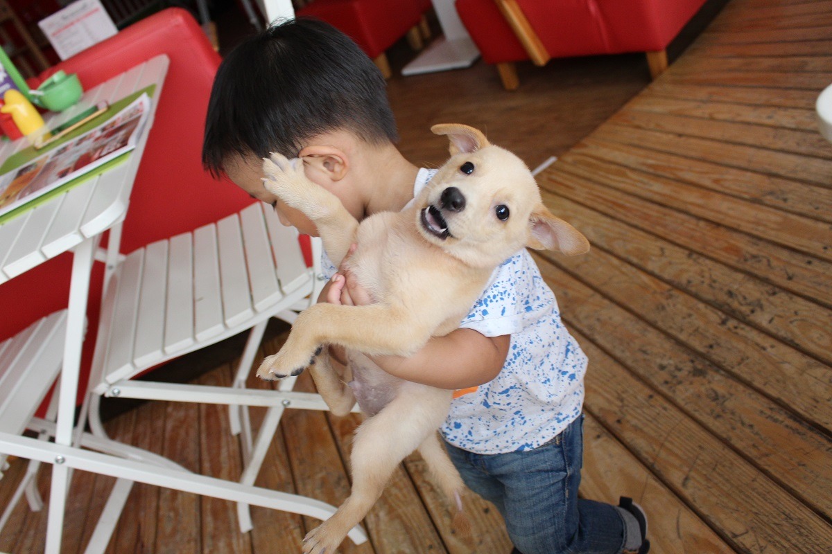 宥宥抱起小狗來相當熟練，看的出來是老手呢！　李娉婷/攝