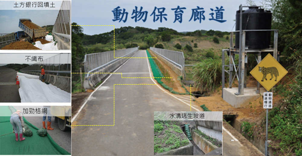 國高公局大甲工務段2013年在國道三號苗栗通霄路段打造的動物保育廊道,監測結果顯示台灣野兔、鼬獾、白鼻心都有使用,並有發現石虎排遺。 取自國道視窗