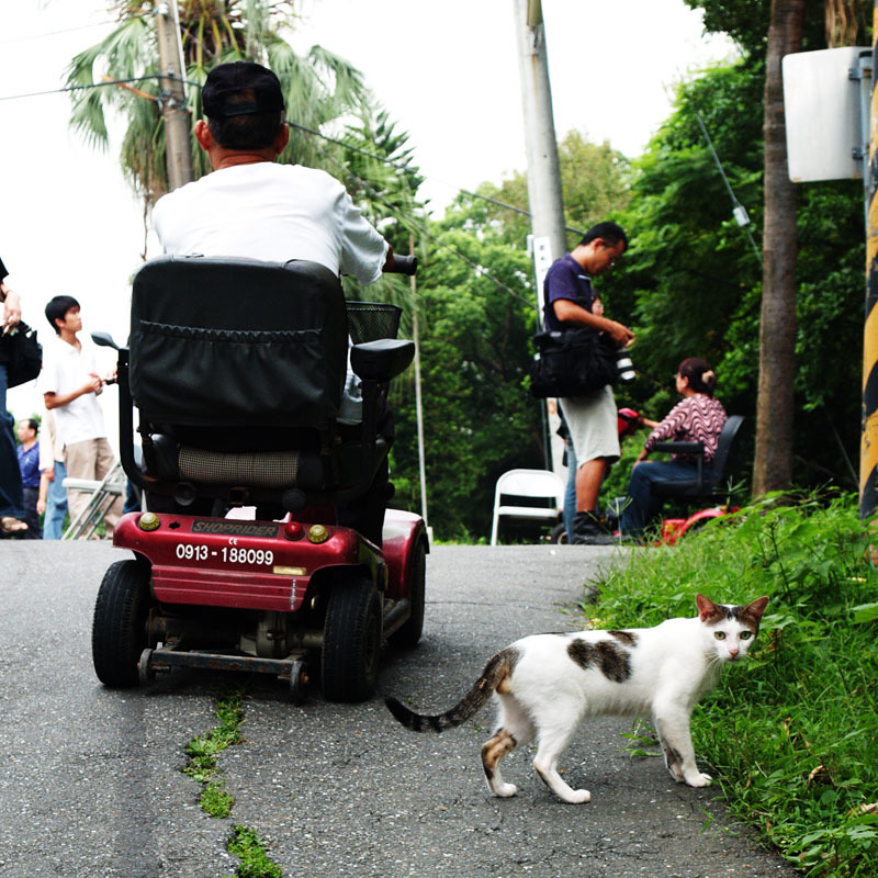 2007年9月，捷運公司復工，預計拆除樂生院區大門當日，貓草天空拍下的照片。　貓草天空/提供