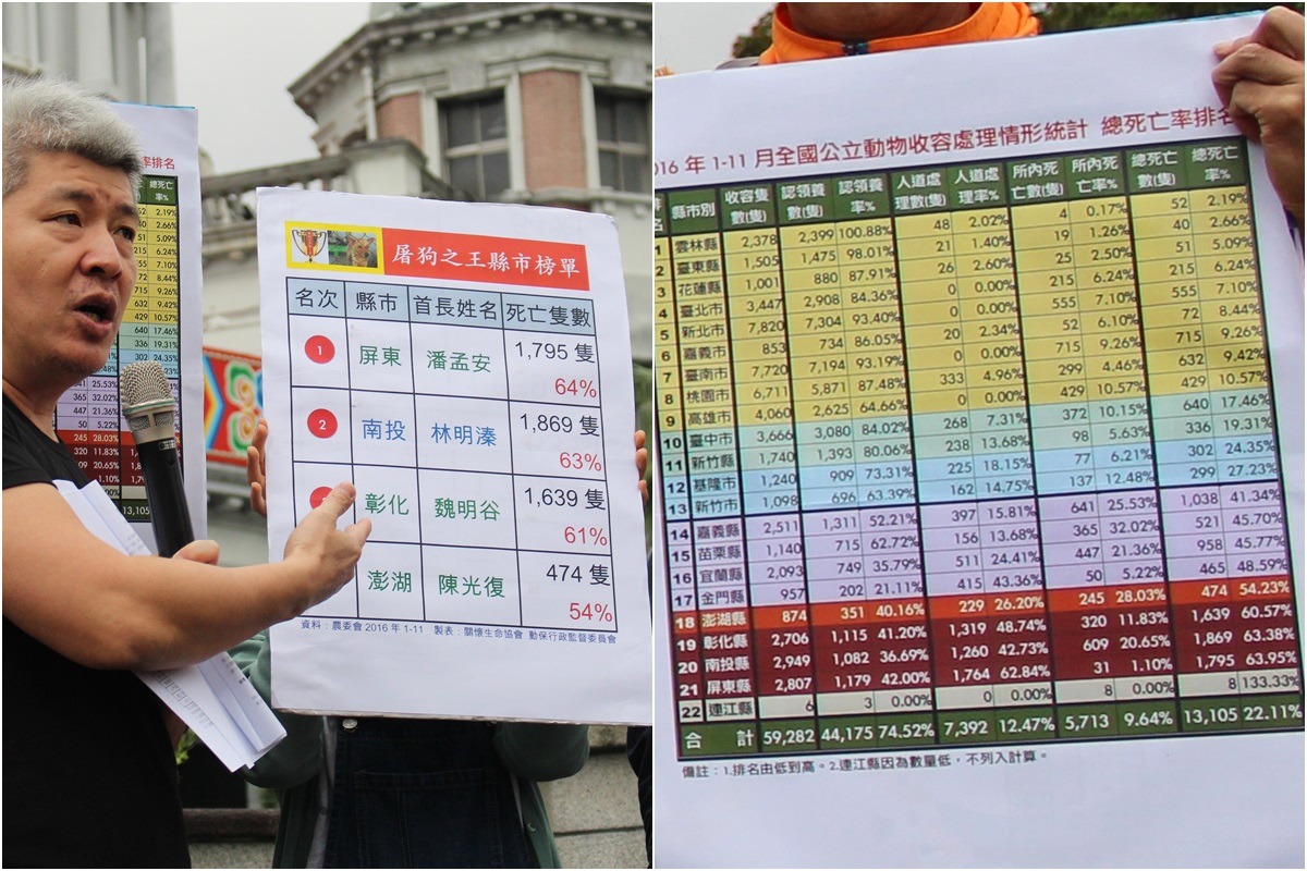 屏東縣收容所2016年1-11月的收容動物總死亡率為54.23%、南投為60.57%、彰化為63.38%、澎湖為63.95%。 李娉婷/攝