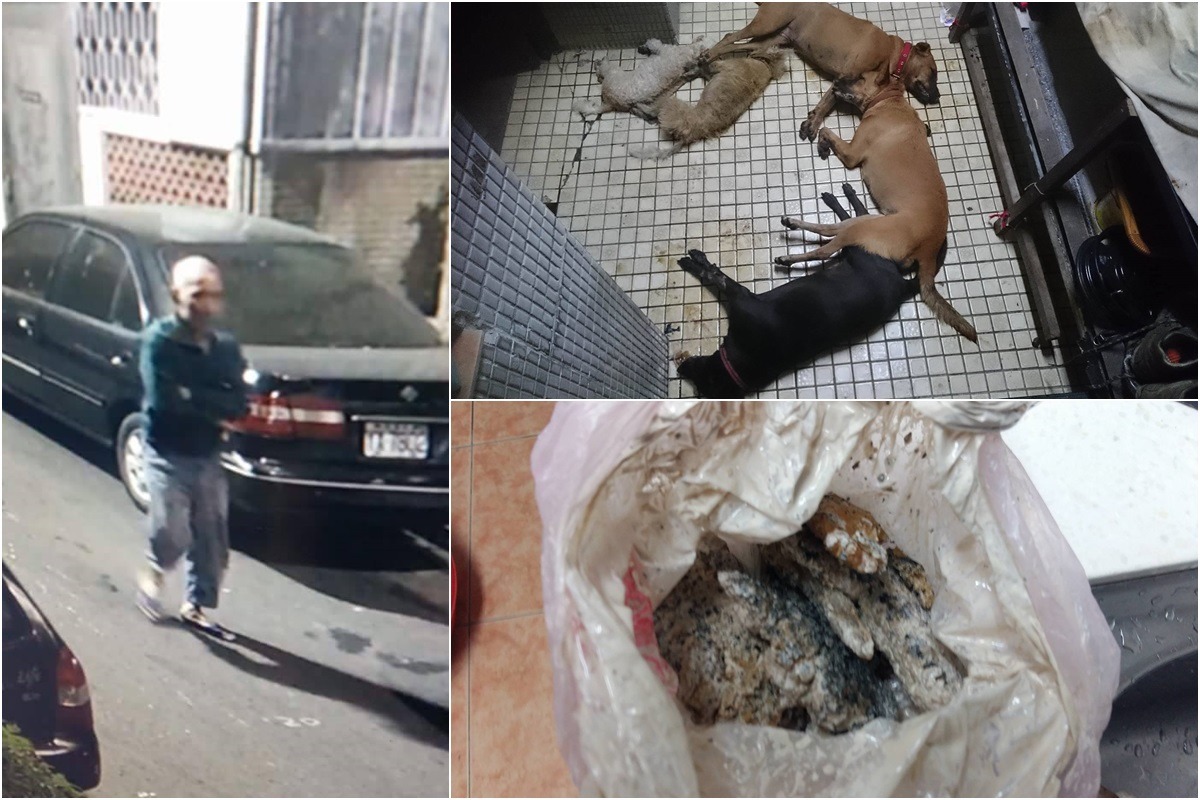 下毒的王男（左）與林姓飼主一家為鄰30年，雙方關係不佳。　飼主林先生/提供