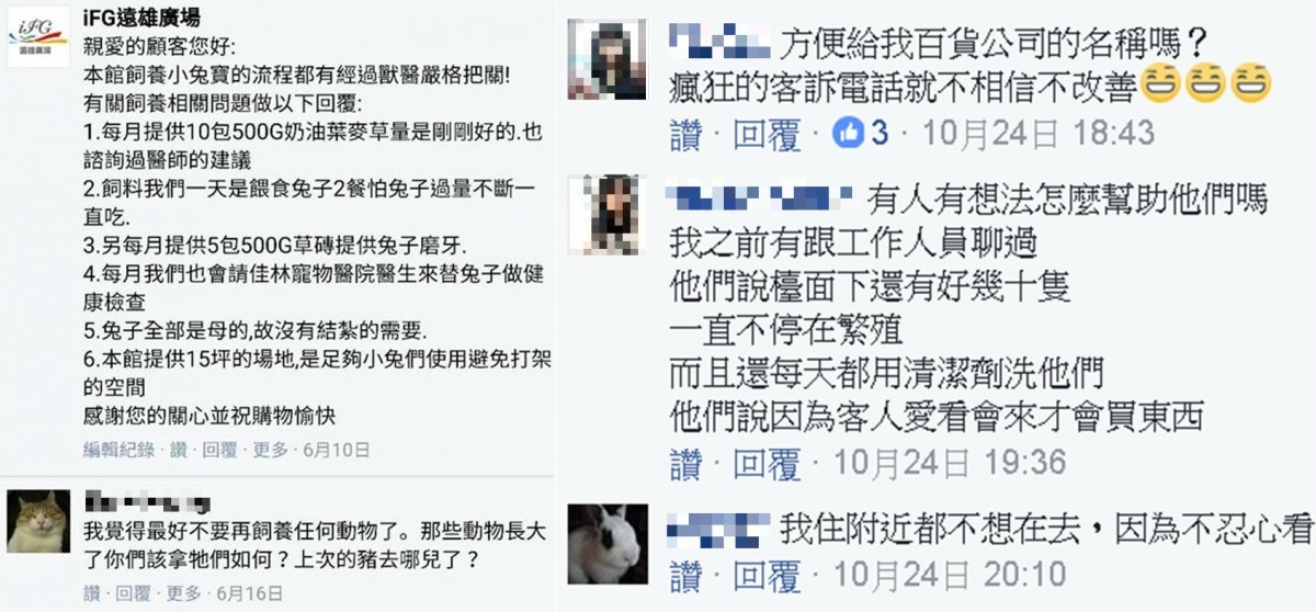 去年6月時，IFG遠雄廣場表示兔子全是母的，沒有結紮的需要，但10月時卻有民眾從工作人員口中得知有幼兔出生。　檢舉民眾/提供