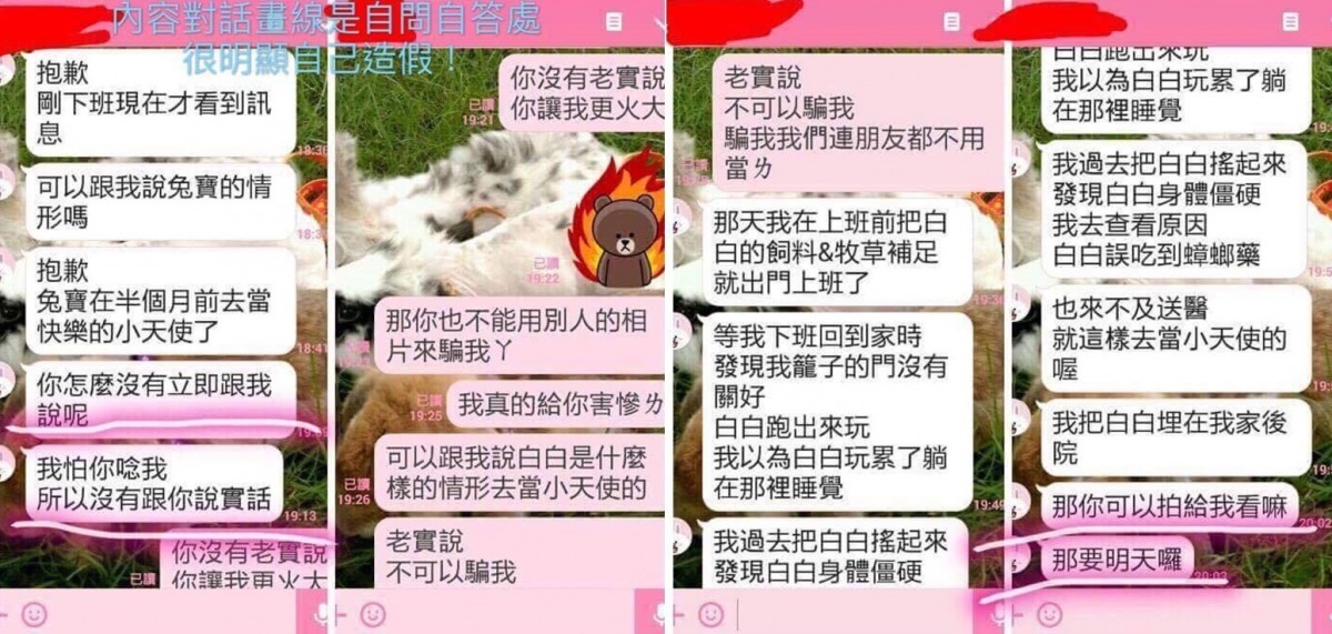 溫女提供與白白領養人的對話紀錄，卻疑似自導自演。　檢舉人王小姐/提供