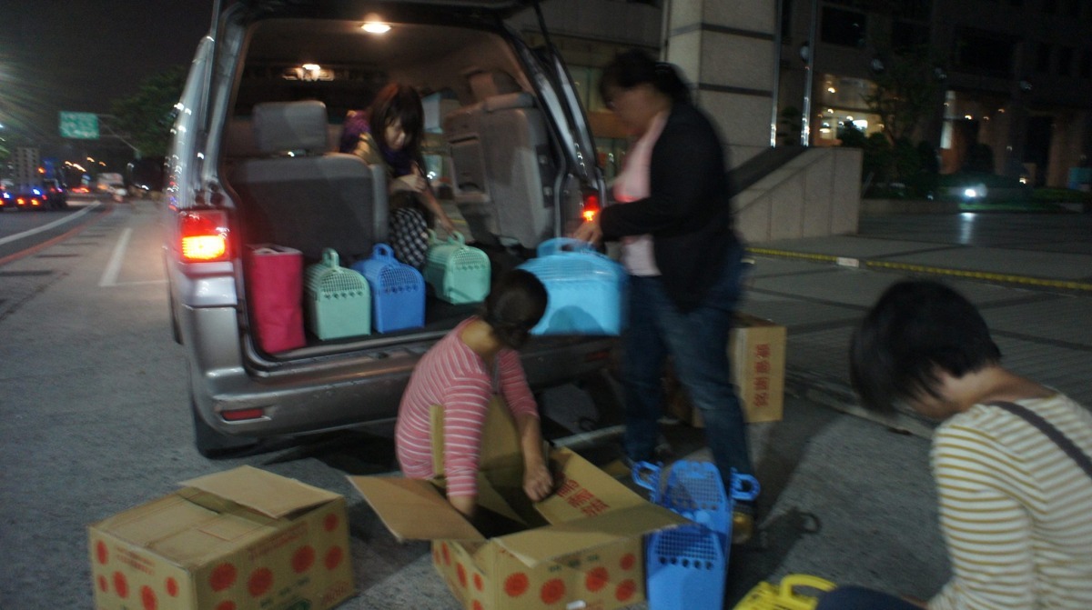 數月前愛兔協會接獲民眾求助，已先分2次從IFG遠雄廣場接出16隻兔子。　台灣愛兔協會/提供