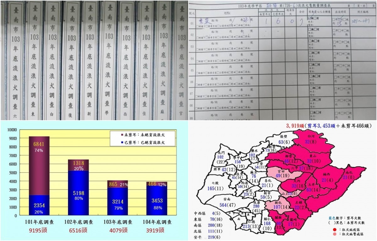 台南市自2012年起開始調查流浪狗數量，並拍照、造冊管理。　台灣動物新聞網資料照(台南市動保處/提供)