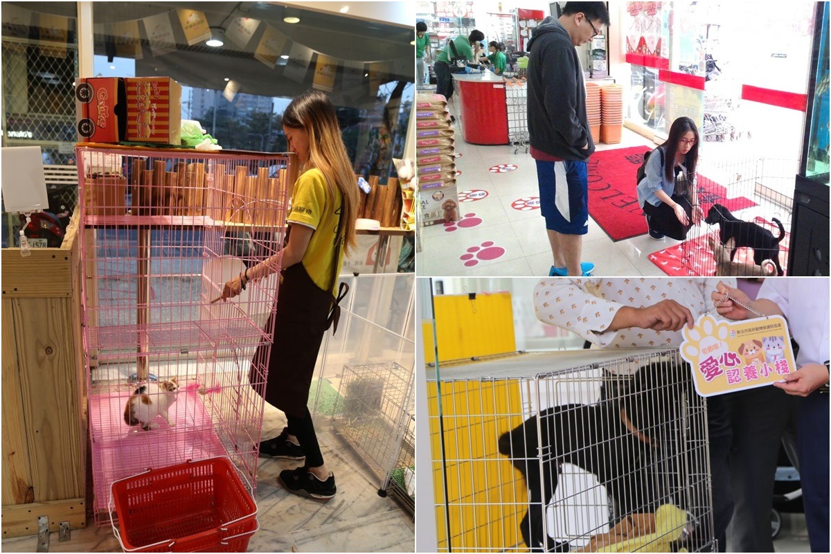 新北市自2015年開始招募「愛心認養小棧」，至今已有44間店家響應，同時可收容66隻動物，至2017年1月31日止，一共送養出1075隻動物，等於2.5個板橋動物之家的收容量。　台灣動物新聞網資料照(新北市動保處/提供)
