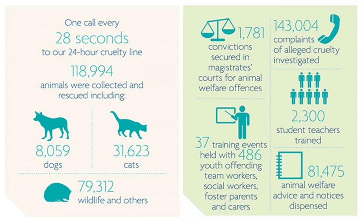 RSPCA的救援與虐待動物調查成果豐碩。　取自RSPCA