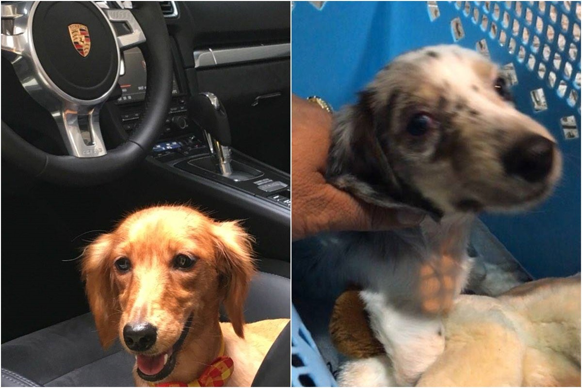 饅頭(左)及豆花(右)。 台灣N.O.E.行動組織/提供