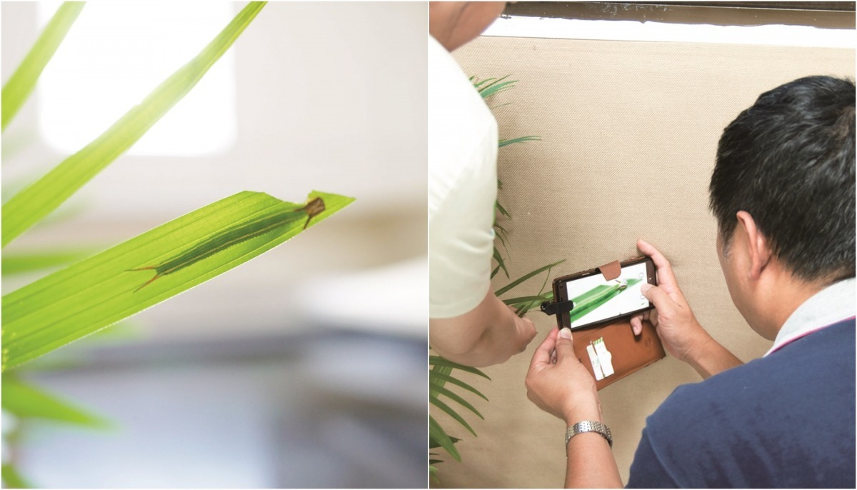 直到現在，台北市立動物園園長金仕謙仍對各種動物充滿好奇。　窩窩/提供