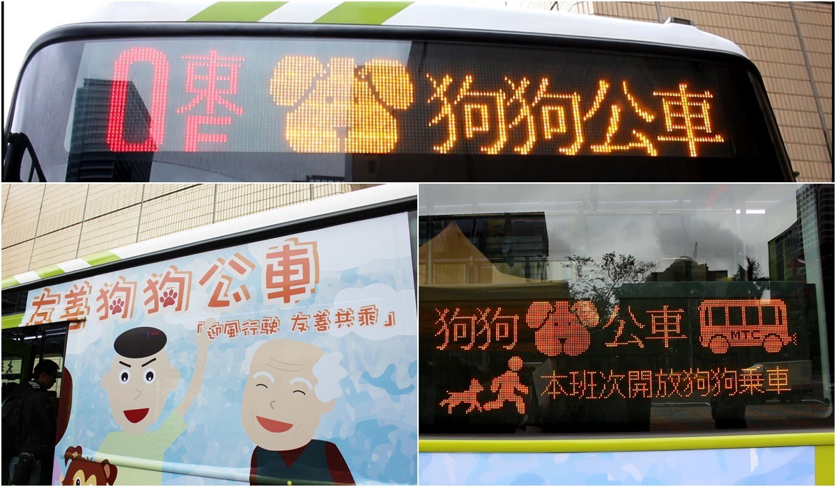 明年1月1日起，大都會客運「0東路線」、台北客運「604路線」將試辦狗狗友善公車，每逢例假日各營駛3班次，公車的外型及跑馬燈都會特別註明。　李娉婷/攝