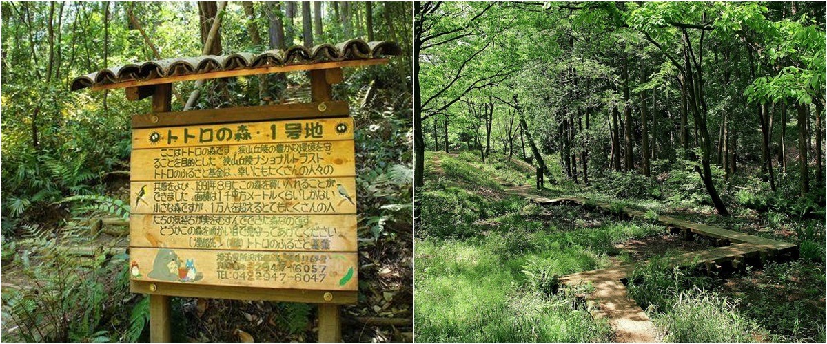 立一塊牌子之後什麼都不做的龍貓森林(左)，也可以做低密度的環境教育(右)