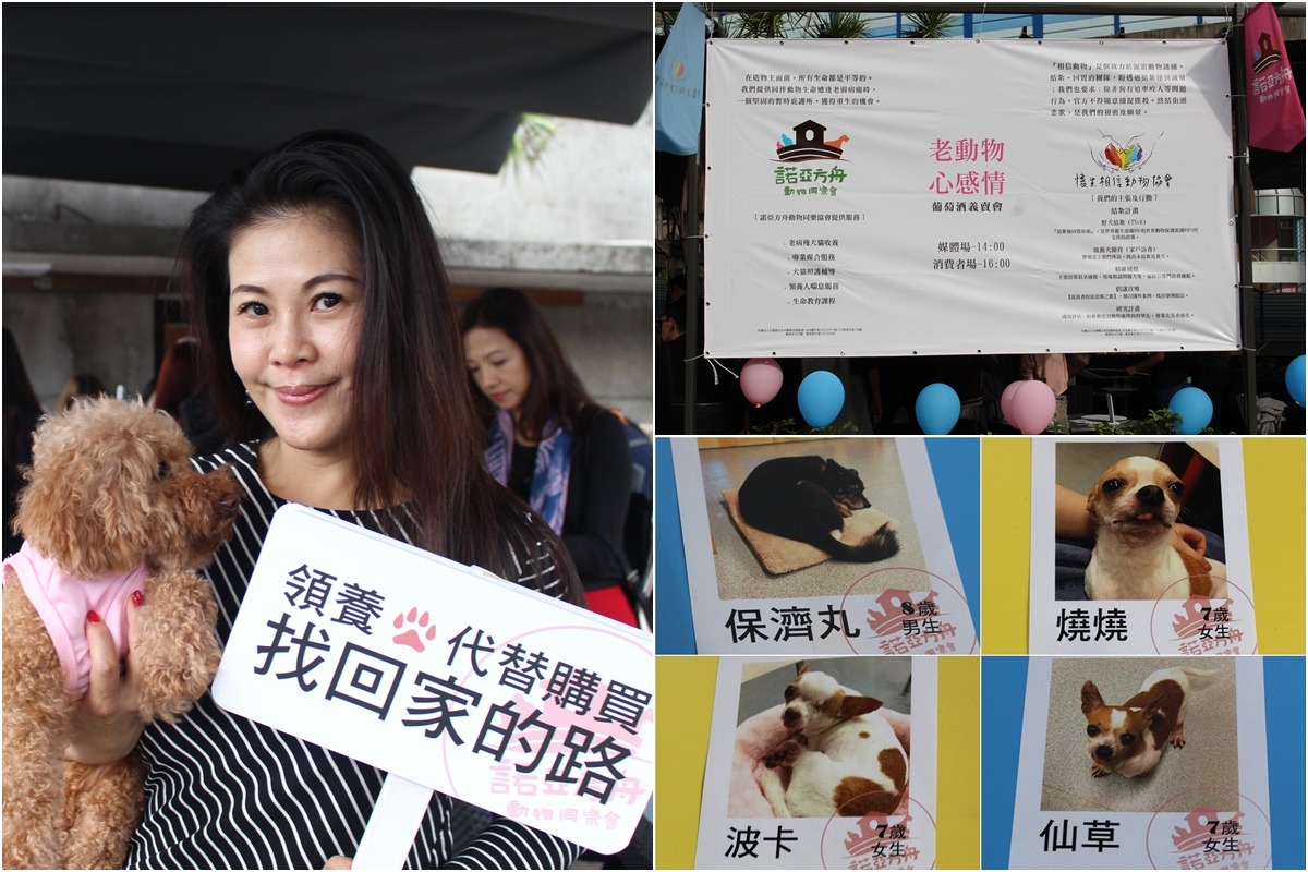 諾亞方舟動物同樂協會今日在華山藝文特區舉辦「老動物 心感情」葡萄酒義賣會暨毛小孩快閃活動,圖左為諾亞方舟理事長戈家黎與要送養的「桂圓」,目前諾亞方舟有6隻老病殘犬要送養。 李娉婷/攝