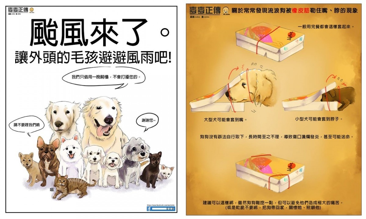 你看過最近廣為流傳的這兩張圖嗎？圖中的黃金獵犬就是麥麥！牠也曾為了求生而挖垃圾堆中的便當吃，被橡皮筋纏上。　取自麥麥講