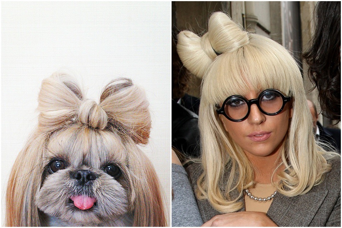 取自boredpanda、網路