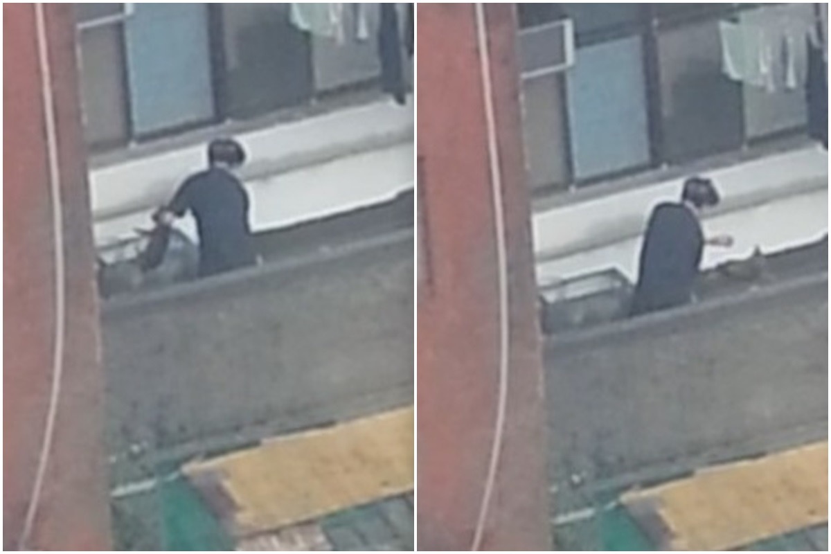 33歲的葉姓男子今年5月在陽台虐狗，被鄰居拍下檢舉。　影片截圖，基隆市動物保護防疫所/提供