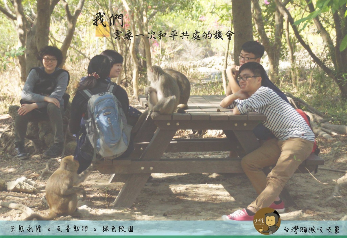 中山大學與保育團體「台灣獼猴吱吱黨」合作，自2015年開始推廣人猴和平共處。　台灣動物新聞網資料照(中山大學/提供)