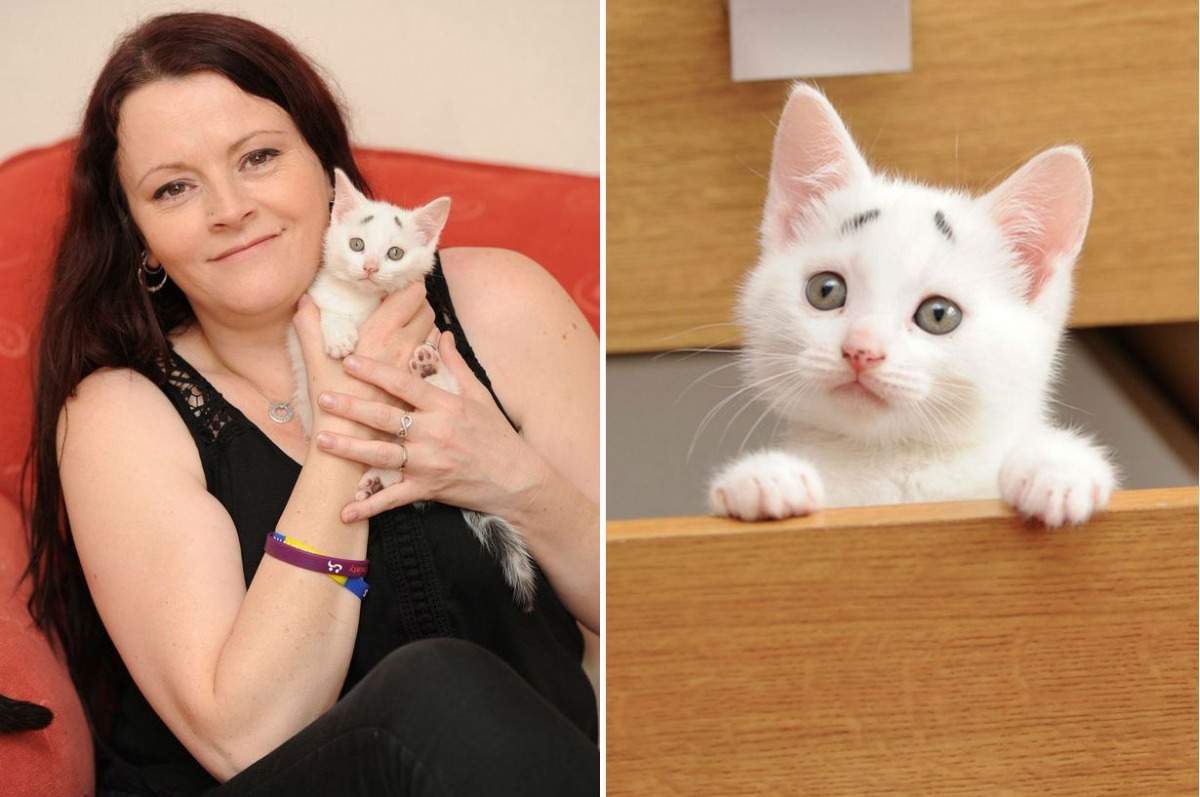 蓋瑞的眉毛可能隨著牠的年齡增長加粗。 取自Mirror