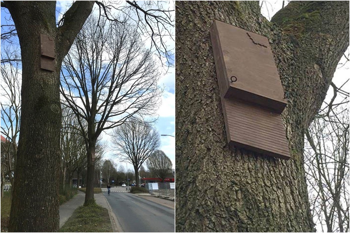 Terrence Lee /拍攝、提供使用