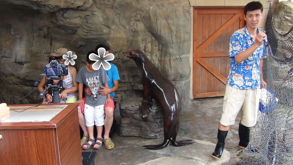 遠雄海洋公園提供海獅親親拍照服務，每人收費300元，海獅要在陸地上不停移動，只為配合遊客拍照。　台灣動物社會研究會/提供