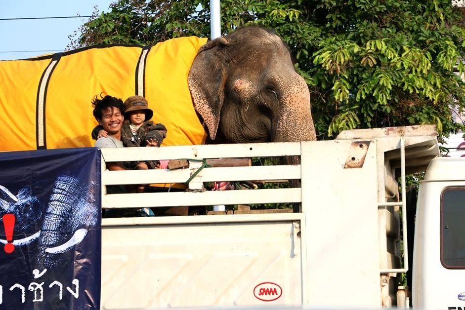 Sontaya終於可以休息,到庇護所展開新生活。 取自BLES