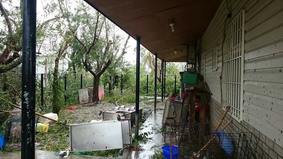 臺東縣關懷生命協會犬舍也一片狼藉。 藍盈琪/提供