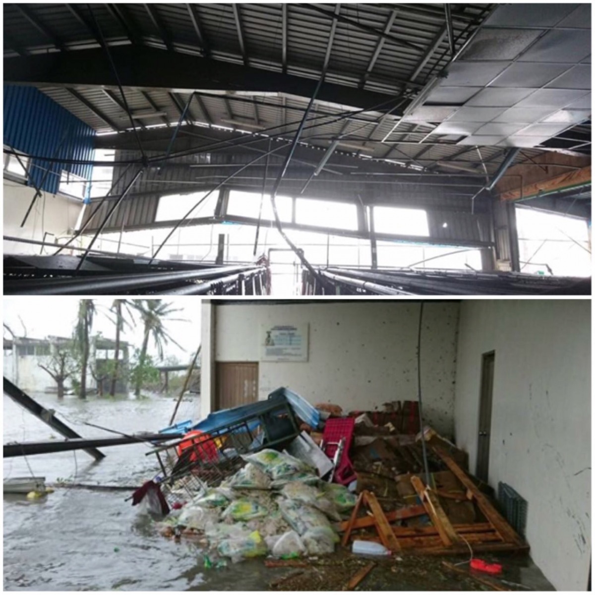 圖為臺東縣動物收容中心受災情形。 取自臺東縣動物防疫所