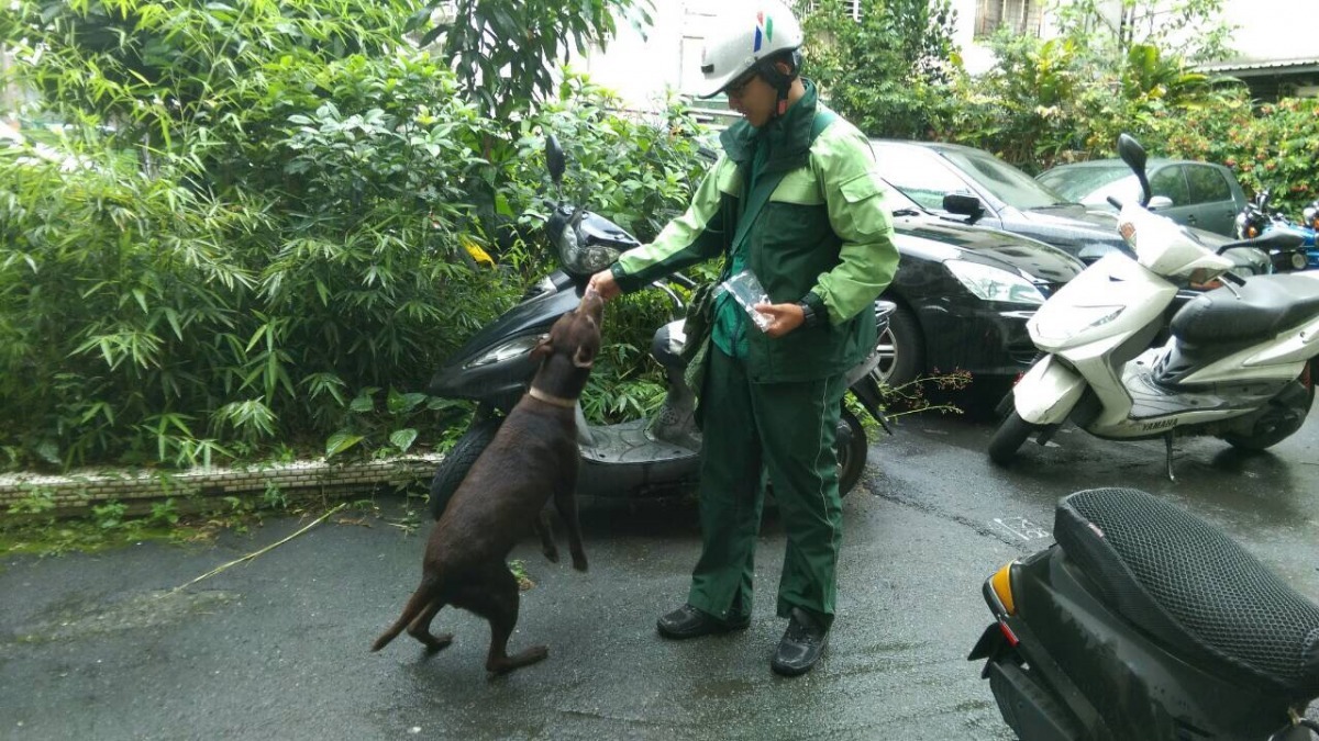 今年1到5月,台北共發生6起攻擊事件,其中5起是家犬、1起是野犬造成。專案實施地點就選定在攻擊事件較頻繁發生的地區。 台北郵局/提供