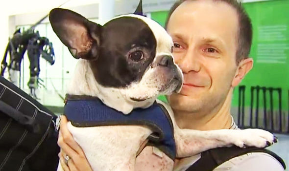 飼主與獲救的辛巴開心合照。 取自英國信報