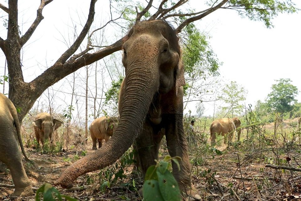 Sontaya已逐漸融入庇護所的生活。 取自BLES