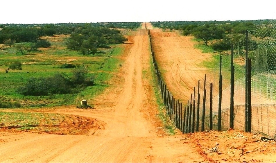 野犬柵欄（dingo fence）長達5500公里，是全世界最長的柵欄。　取自Wikipedia