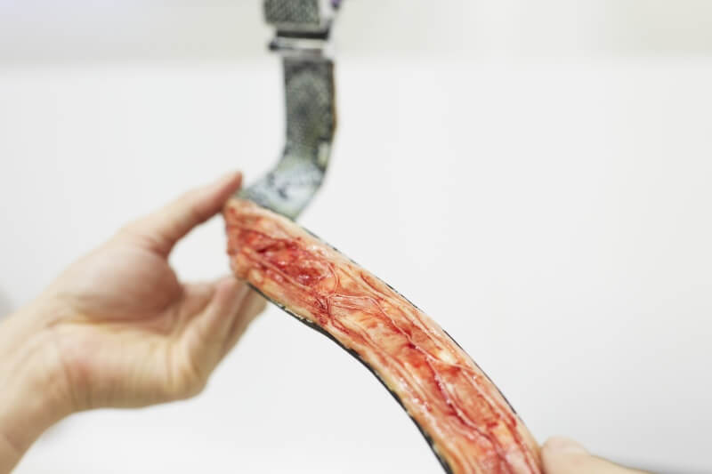 廣告公司用極度擬真的手法製作出「蛇皮皮帶」。　取自PETA Asia