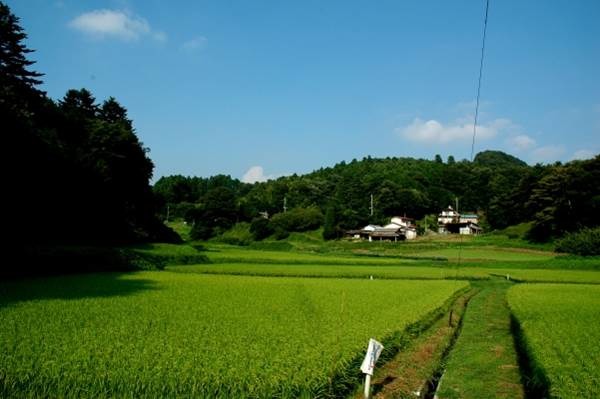 李璟泓說，日本看到的里山（Satoyama），不與自然爭利，偌大的平野，路都小小的，遠遠的農家人一戶、兩戶，就散居在那裡