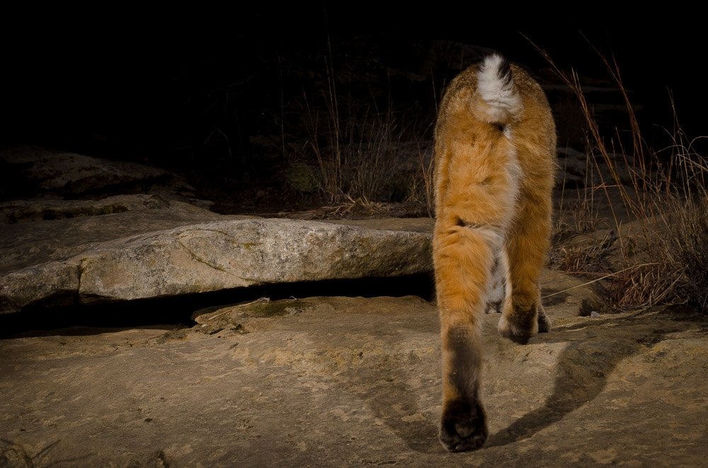 twitter_JamesBeissel