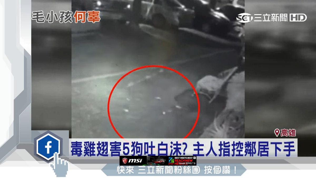 毒雞翅散落在林家門口的花圃旁。　翻攝三立新聞