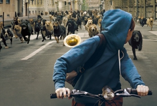 《忠犬追殺令》劇照，200多隻狗狗在布達佩斯大街奔馳。　取自awards circuit