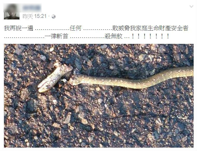 民眾斬殺的是無毒的南蛇(另有一說為草花蛇，草花蛇同樣為無毒蛇)。　網路截圖