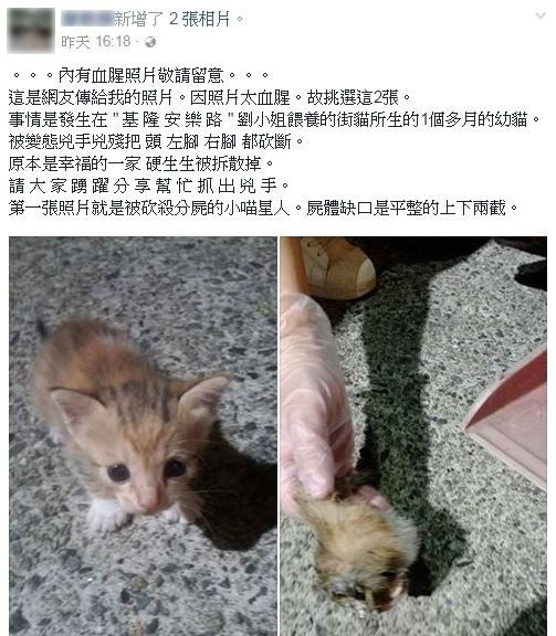 獸醫師貼文表示小貓屍體缺口平整。 臉書公開貼文截圖