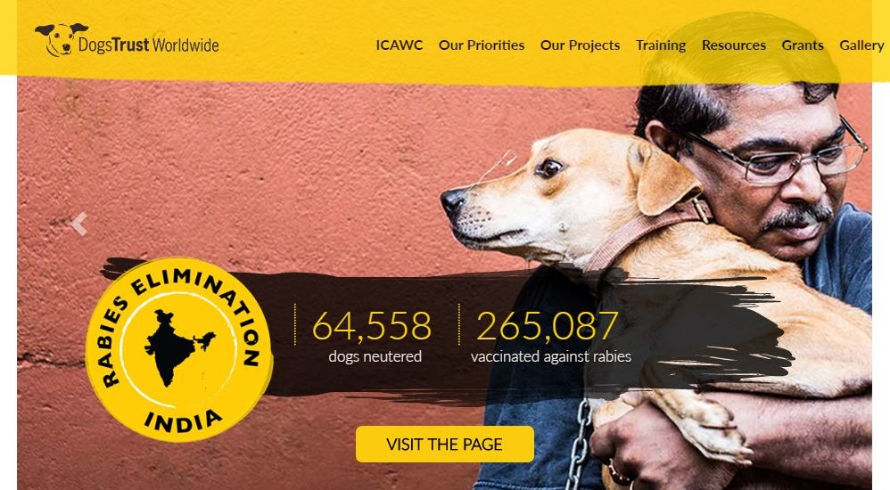 Dogs Trust已在印度絕育6萬多隻狗、為26萬隻狗施打狂犬病疫苗,目標在2030年控制住印度的狂犬病疫情。 截取自Dogs Trust