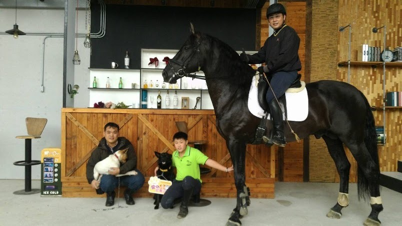 位於淡水漁人碼頭旁的綠野馬場，也是新北市的愛心認養小站，協助動物之家中途、送養流浪動物。　資料照(新北市動保處/提供)