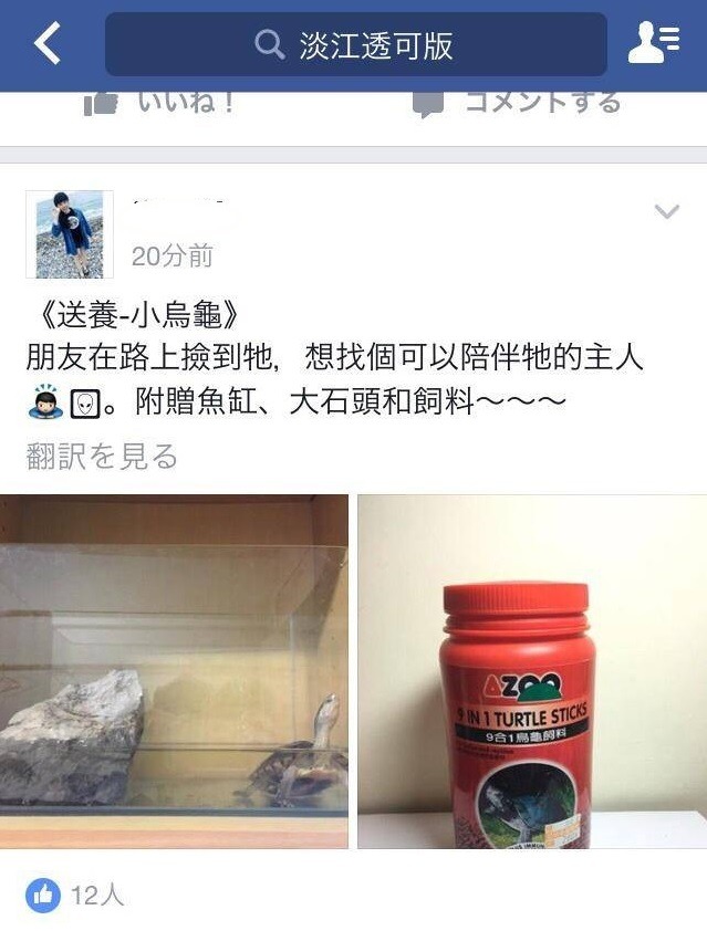 陳同學在臉書社團看到的送養訊息。　新北市動保處/提供