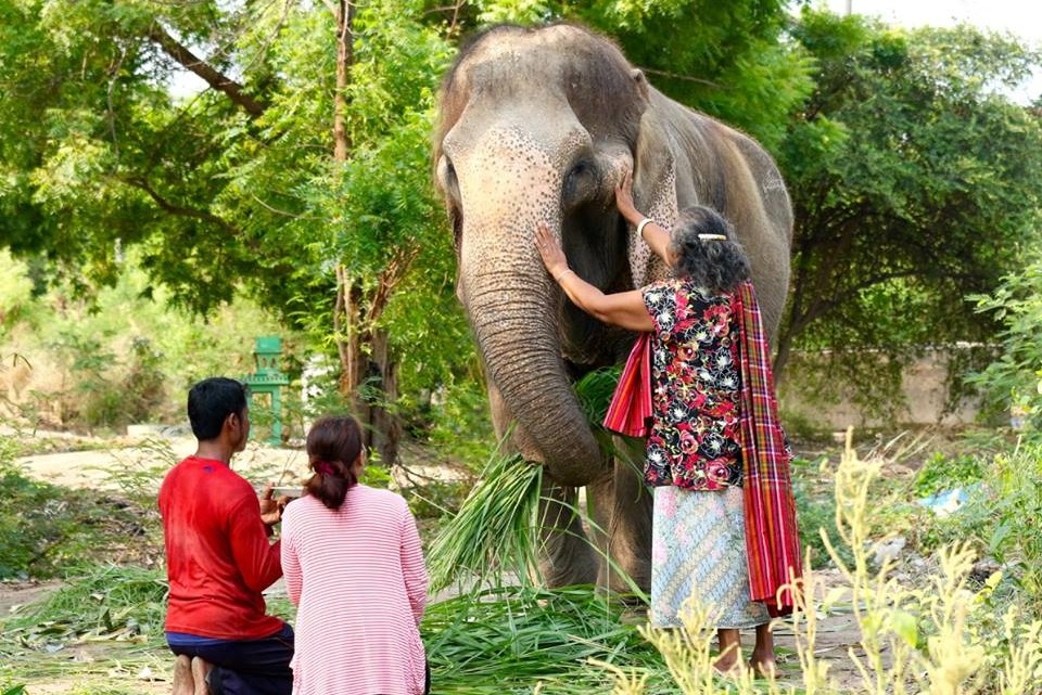 Sontaya主人來與牠道別。 取自BLES