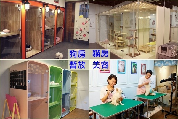 Very旺春節住宿全部滿房,搶不到房的飼主也願意讓寵物住在暫放區,而不關籠的狗狗約有20隻。 江幸芸/攝‧Very旺/提供