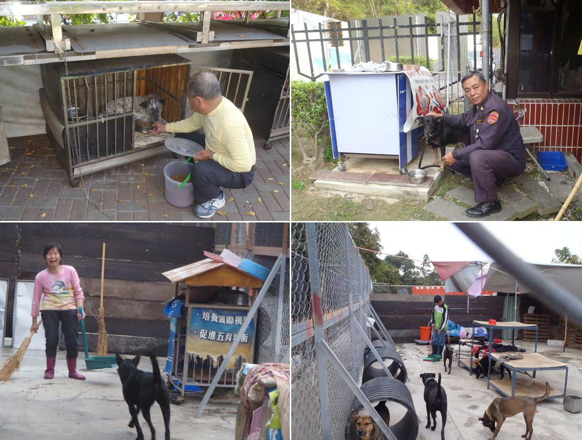 寒假與春節期間,中山大學的守護犬有工友與校警照顧(上),管理站的流浪狗則是由愛心媽媽與志工打理(下),一天打掃兩次、餵食一次。 吳鴻欽/提供