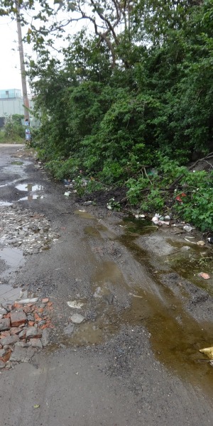 破碎的道路、四散的垃圾、發黃的積水，就是他們每天要經過的道路。
