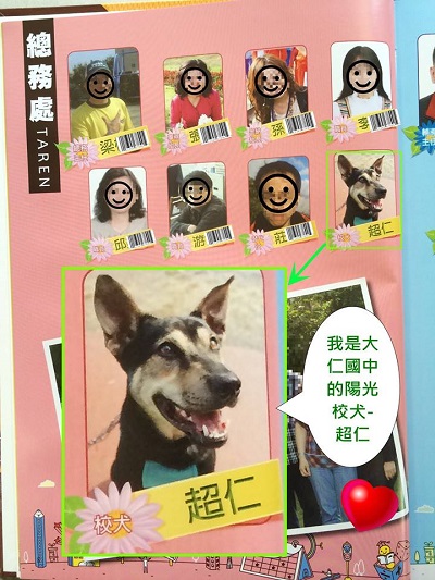 大仁國中的畢業紀念冊上,可以看見活潑的超仁。 取自大仁國中校犬專區臉書