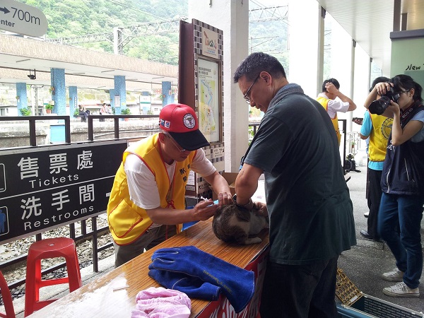 猴硐貓咪獨立志工協助新北市動保處義診。　取自猴硐貓咪獨立志工社