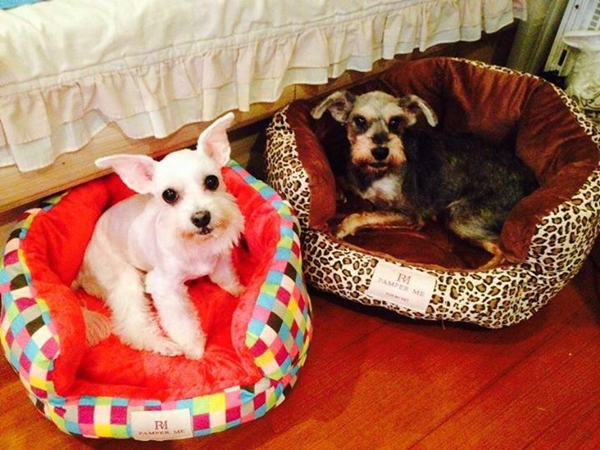 「親愛的」和11歲的「Miruku」成為好朋友。　林愛寶/提供