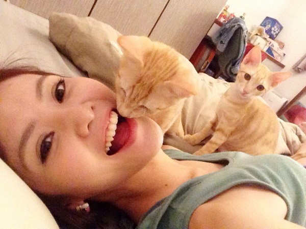 陳子玄現在認養了2隻浪貓兄弟,感情很好。 陳子玄提供